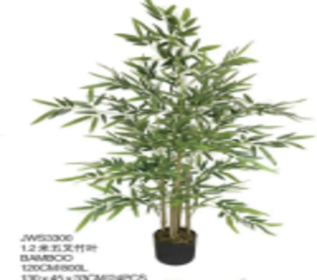 Bamboo 