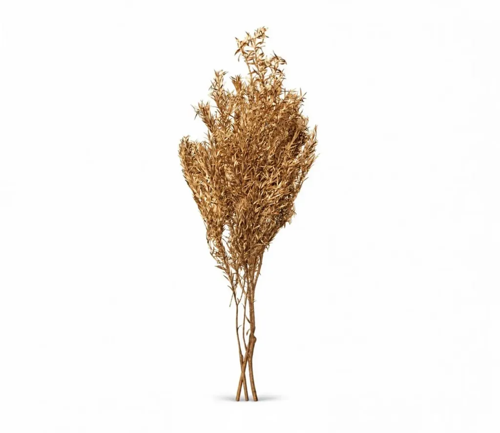 [NP0055-GOLDEN] مجفف شعير (Gold)