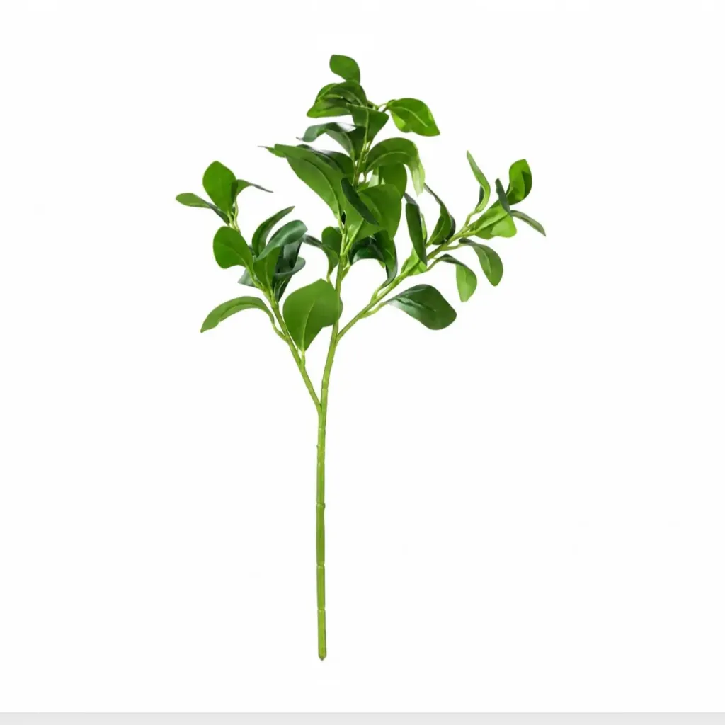 نبتة فيكس باندا