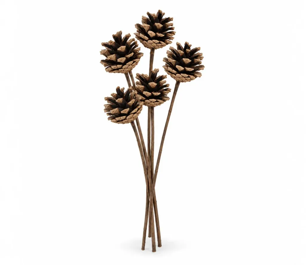 [عرق صنوبر صغير] عرق صنوبر صغير (Small)