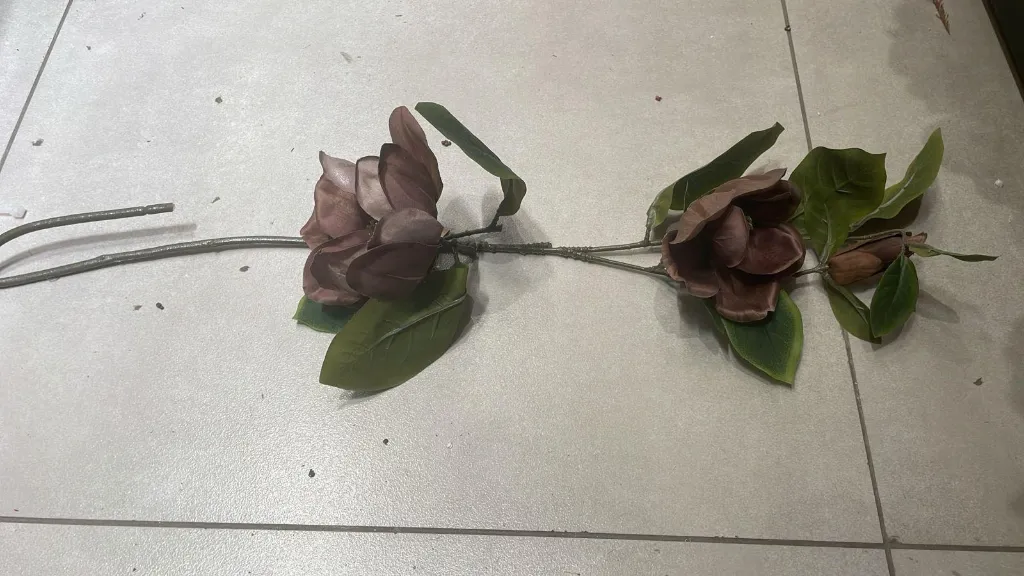 [QF ضمة ميرميه مع بزروميه بني] ضمة ميرميه مع بزروميه  (Brown)