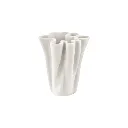 فازة عريضة