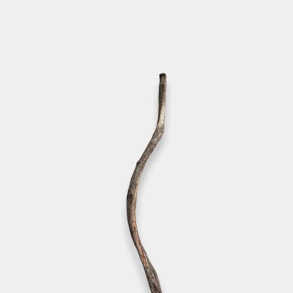 عرق  خشب
