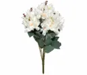 ورد قرطاسيا 