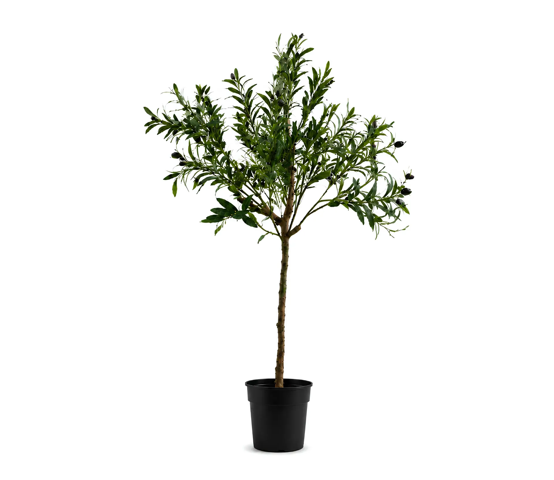 Plastic Olive Tree